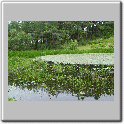 Dsc00138.gif