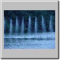 Dsc00298.gif